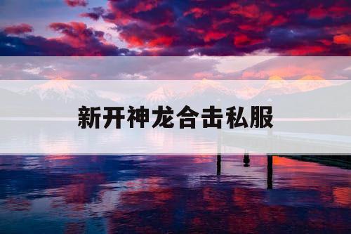 新开神龙合击私服