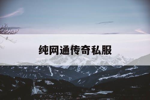 纯网通传奇私服