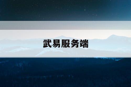 武易服务端