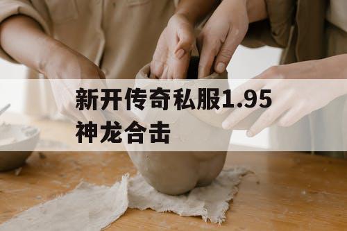 新开传奇私服1.95神龙合击
