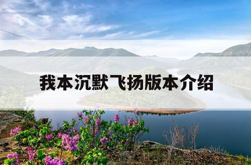 我本沉默飞扬版本介绍