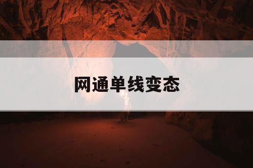 网通单线变态