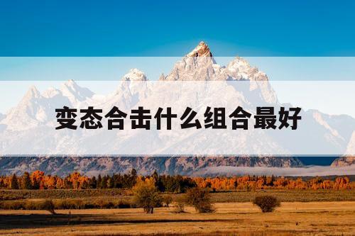 变态合击什么组合最好