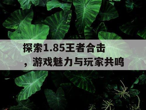 探索1.85王者合击，游戏魅力与玩家共鸣