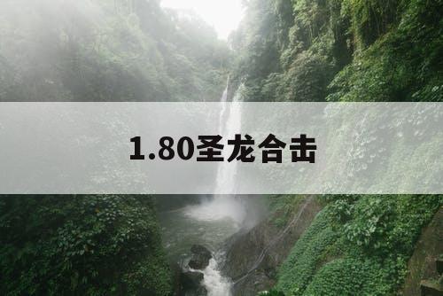 1.80圣龙合击