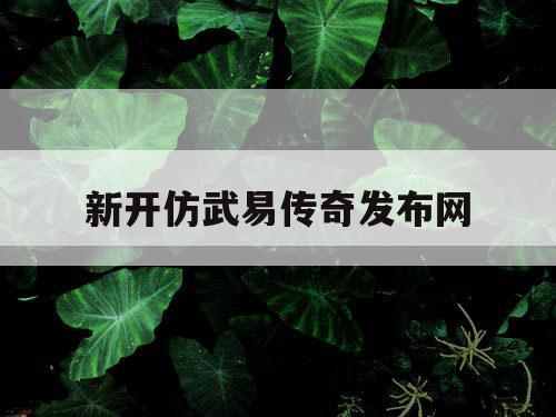新开仿武易传奇发布网