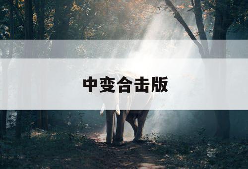 中变合击版