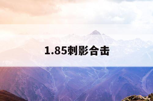 1.85刺影合击