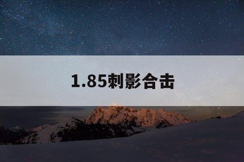 1.85刺影合击