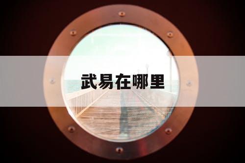 武易在哪里