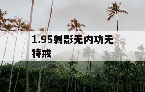 1.95刺影无内功无特戒