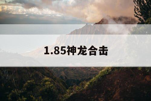 1.85神龙合击 1.85神龙合击