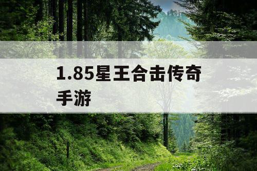 1.85星王合击传奇手游