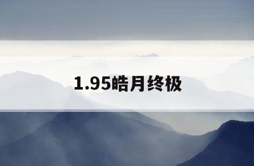 1.95皓月终极