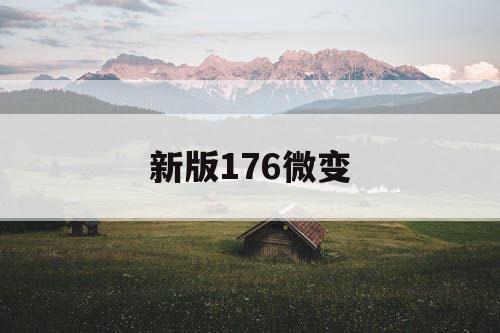 新版176微变
