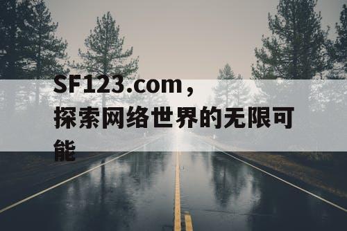 SF123.com，探索网络世界的无限可能