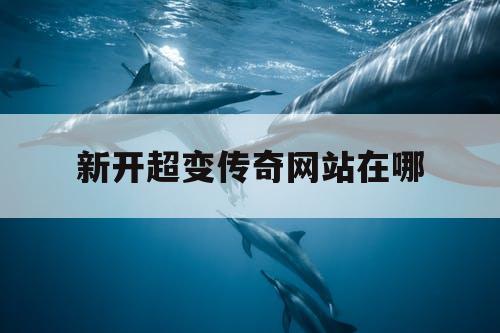 新开超变传奇网站在哪