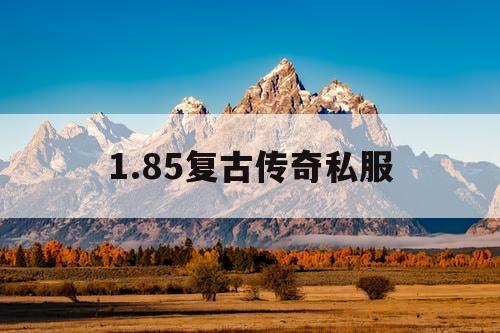 1.85复古传奇私服 1.85复古传奇私服