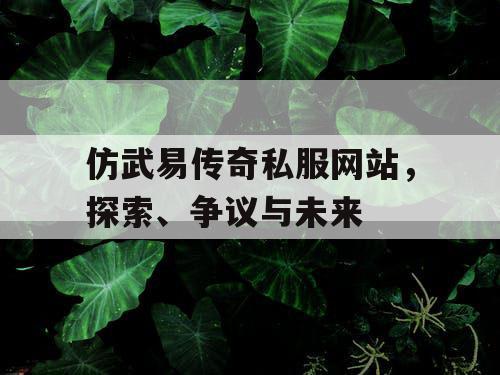 仿武易传奇私服网站,探索、争议与未来 仿武易传奇私服网站,探索、争议与未来