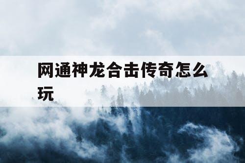 网通神龙合击传奇怎么玩