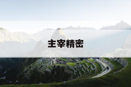 主宰精密 主宰精密
