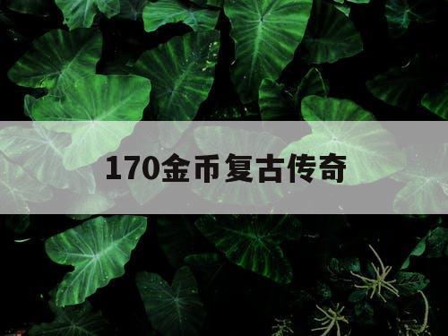 170金币复古传奇