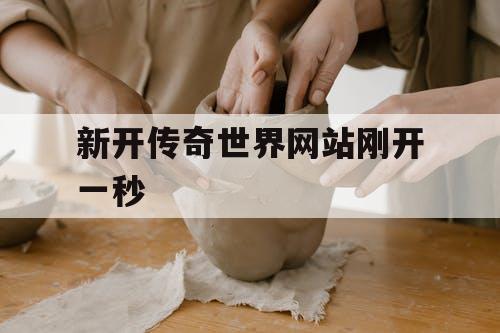新开传奇世界网站刚开一秒