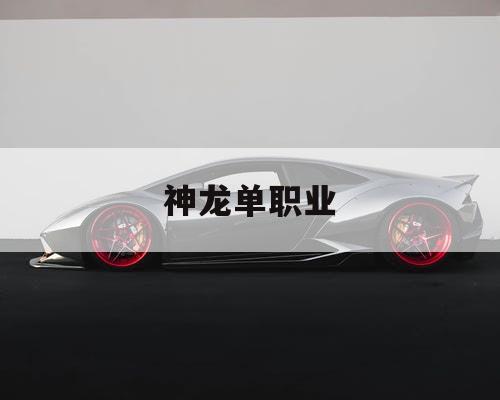 神龙单职业