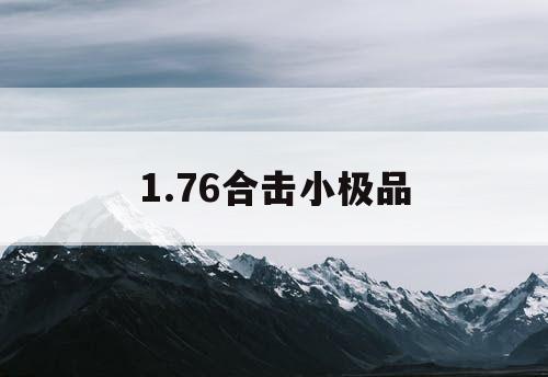 1.76合击小极品 1.76合击小极品