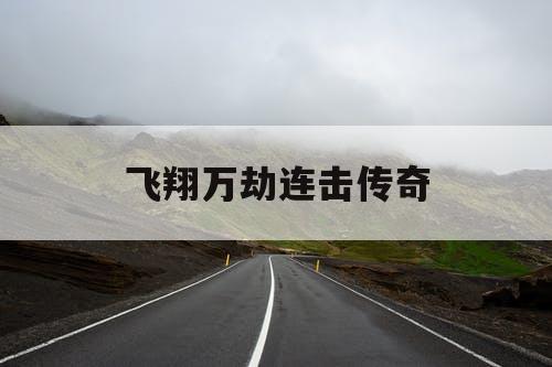 飞翔万劫连击传奇