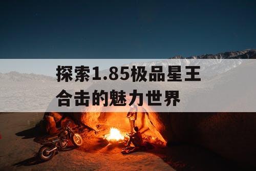 探索1.85极品星王合击的魅力世界