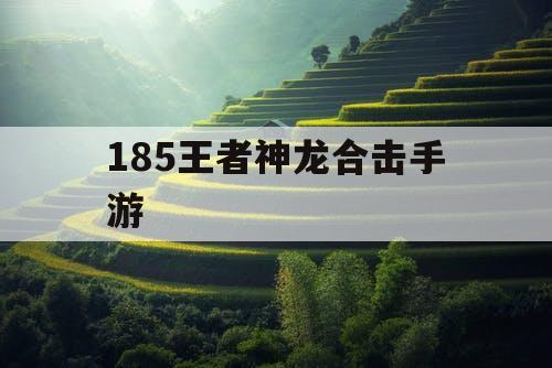 185王者神龙合击手游