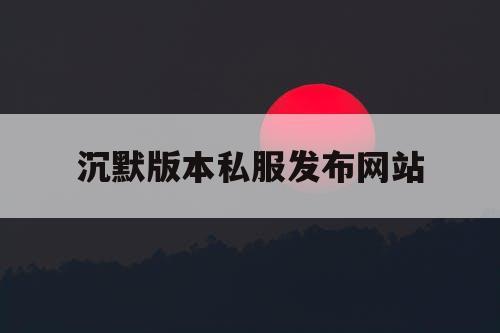 沉默版本私服发布网站