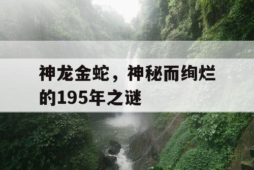 神龙金蛇,神秘而绚烂的195年之谜 神龙金蛇,神秘而绚烂的195年之谜