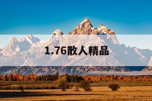 1.76散人精品
