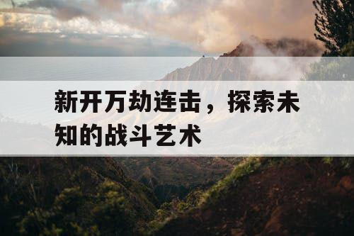 新开万劫连击，探索未知的战斗艺术