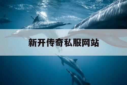 新开传奇私服网站 新开传奇私服网站