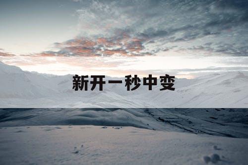 新开一秒中变