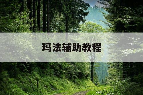 玛法辅助教程