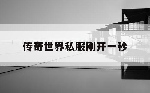 传奇世界私服刚开一秒