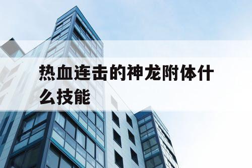 热血连击的神龙附体什么技能