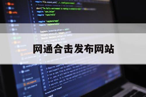 网通合击发布网站