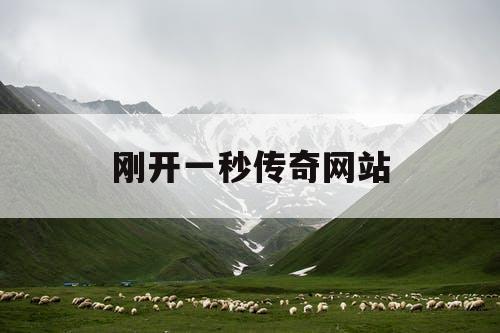 刚开一秒传奇网站