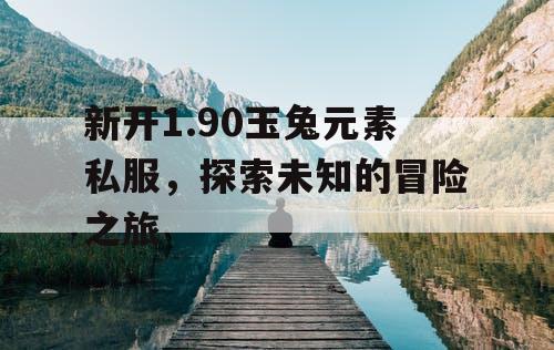 新开1.90玉兔元素私服，探索未知的冒险之旅