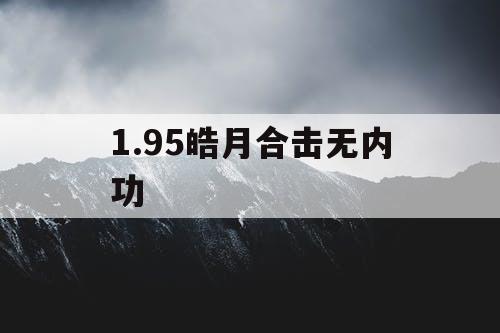1.95皓月合击无内功