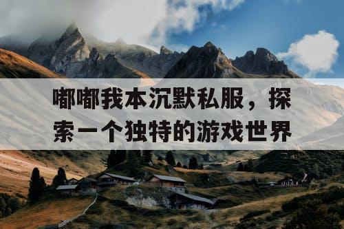 嘟嘟我本沉默私服，探索一个独特的游戏世界
