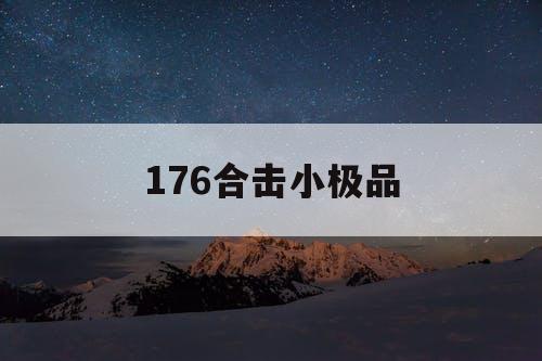 176合击小极品