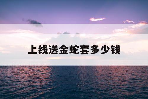 上线送金蛇套多少钱