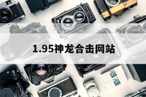 1.95神龙合击网站