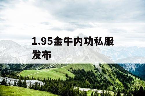 1.95金牛内功私服发布